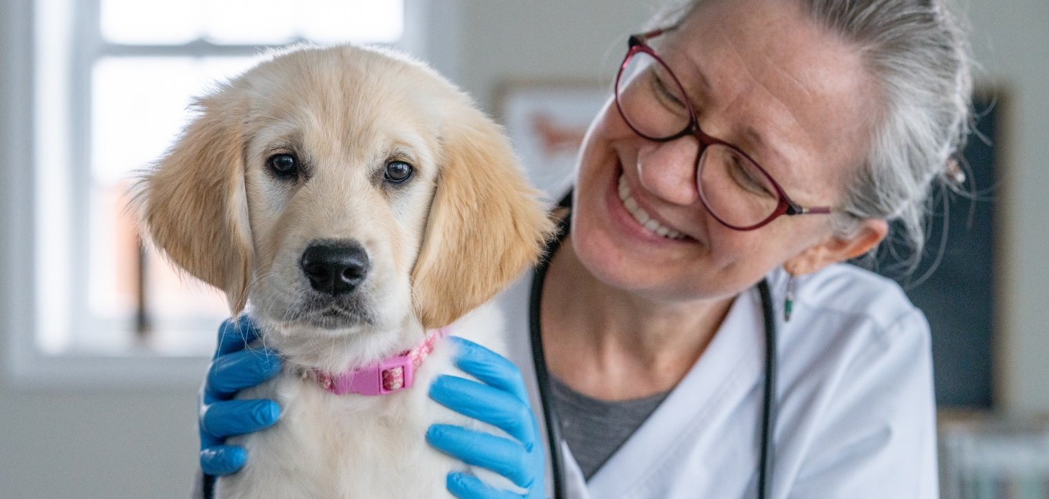 Opportunities and Challenges for Animal Health Pharmaceutical Companies